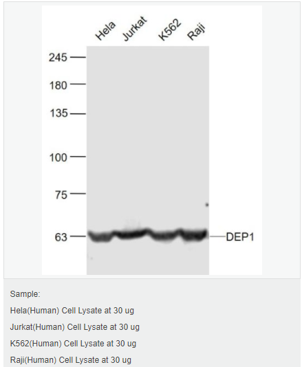 6052aa98766de.png image.png
