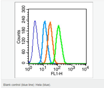 6052be92128b3.png image.png