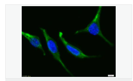 605da1b092c51.png image.png