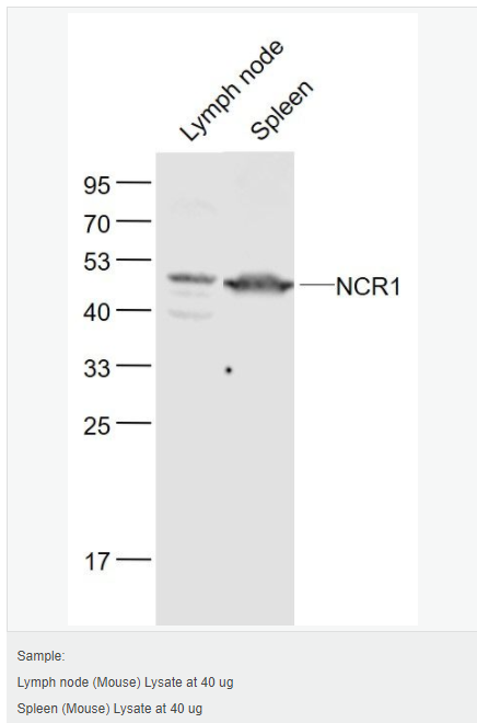 6066c420d3b73.png image.png