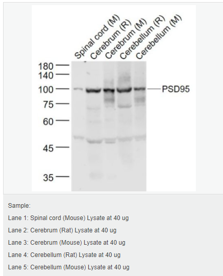 606bcbc09637c.png image.png