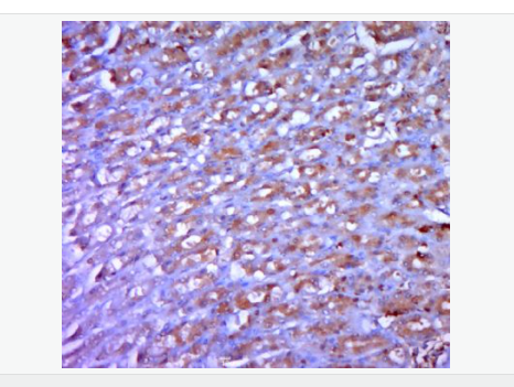 6077976c4de1b.png image.png