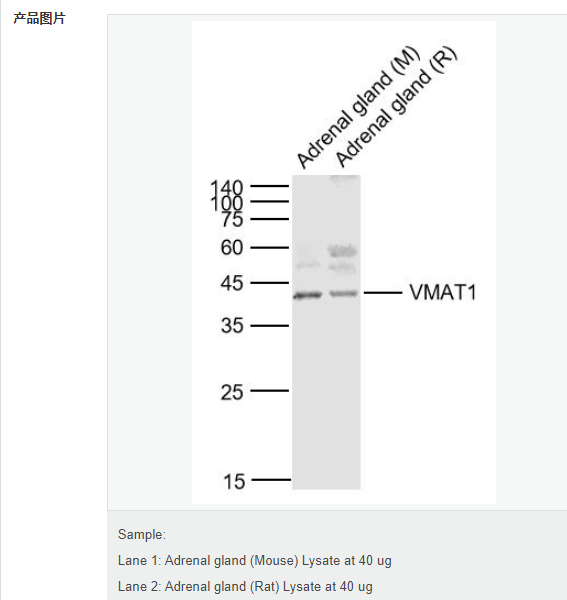 6077e4d32eb2e.png image.png