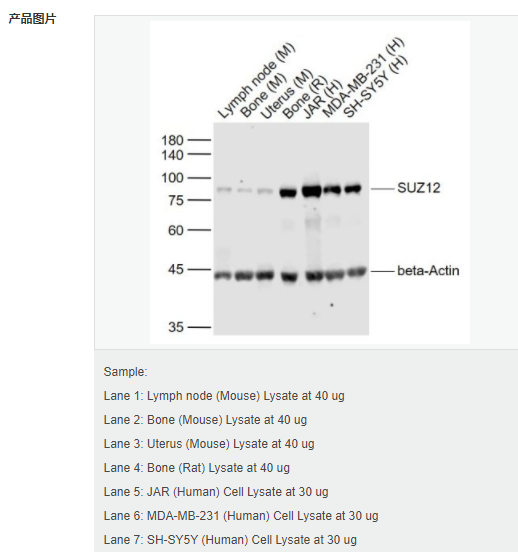 607d34e684b3e.png image.png