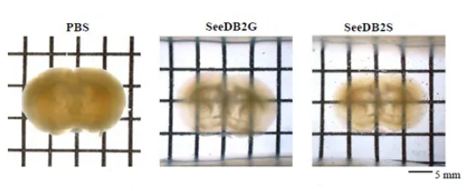 67ab087e98be8.png image.png